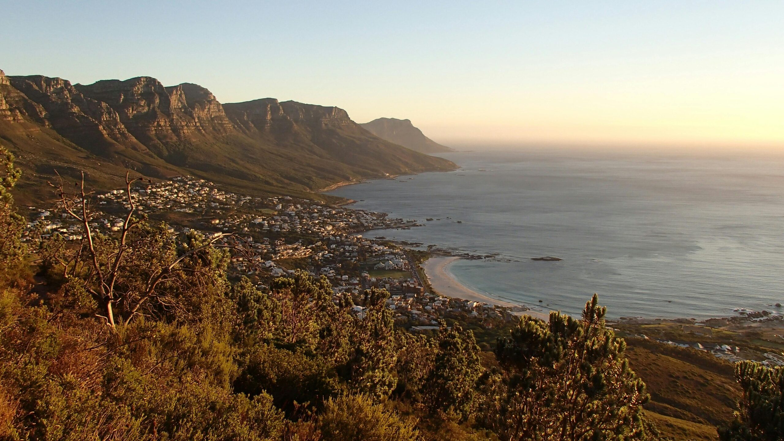 pexels-julie-holmes-9538-51809